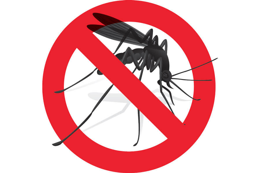 Immagine di copertina per Ordinanza n. 11.2023 relativa al piano di prevenzione e controllo malattie trasmesse da insetti vettori